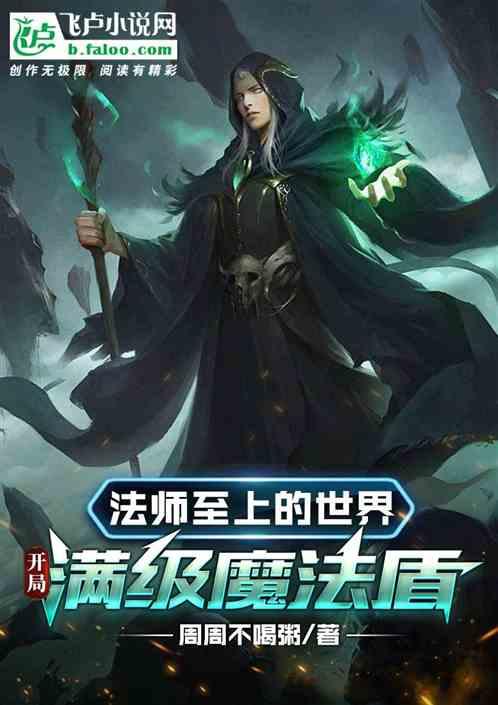 法师至上的世界：开局满级魔法盾