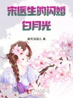 宋医生的闪婚白月光