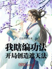 我瞎编功法，开局创造遮天法