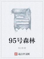 95号森林